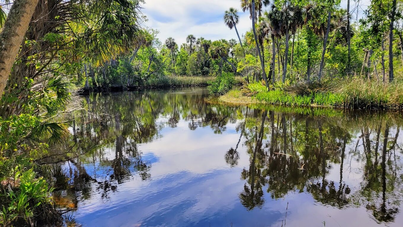 James E. Grey Preserve