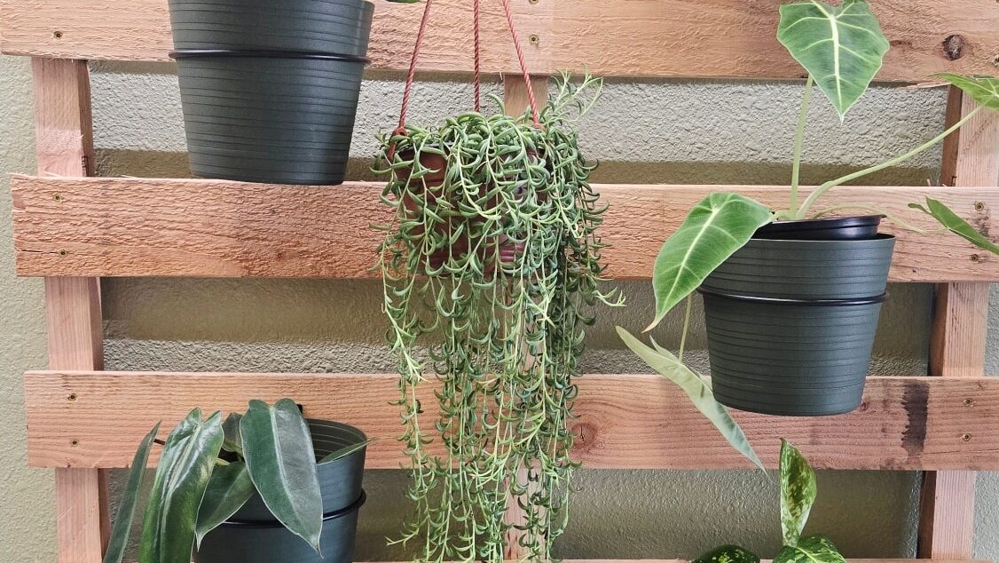 Growing Together Plant Co.